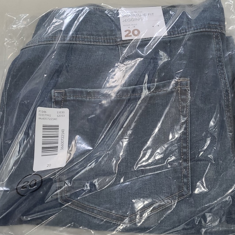 LANE BRYANT Medium Wash Super Stretch Jegging